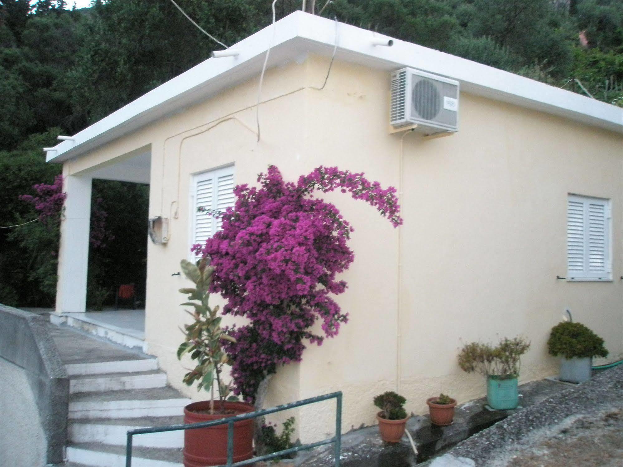 Faliraki Apartments بينيتسيس المظهر الخارجي الصورة